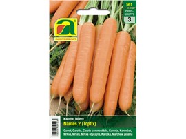 Karotten, Möhren "Nantes 2 (Topfix)":   Eine lagerfähige Universalsorte mit bester Innenqualität.