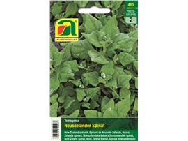 Spinat "Neuseeländer Spinat":   Ein spinatähnliches Blattgemüse für die Mehrfachernte!