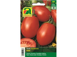 Tomate "Orbit":   Eine kompakte, mittelfrühe Buschtomate mit ovalen Früchten. Ideal für die Ku