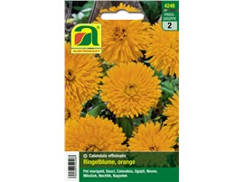 Ringelblume "Orange":   Liebt sonnige Lagen und gedeiht auf jedem guten Gartenboden. Die Blüten sind