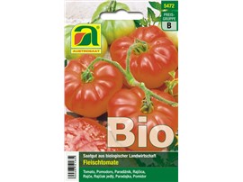 Tomate BIO "Marmande":   Fleischtomate mit leicht gerippten, saftigen Früchten.