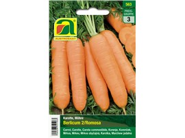 Karotten, Möhren "Berlicum 2 (Romosa)":   Eine sehr ertragreiche Sorte, ideal für die Einlagerung.