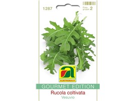 Rucola coltivata "Vesuvio":   Die zarten Blätter dieser stark gefiederten Rucola coltivata sind in der att