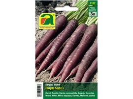 Karotten, Möhren "Purple Sun F1":   Intensiv gefärbte Sorte für farbenfrohe Rohkostsalate oder violette Suppen.