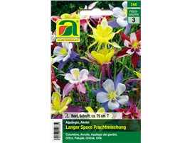 Akelei "Langer Sporn":   Ausdauernd, mehrjährig. Prachtmischung mit dekorativen, großen Blüten.