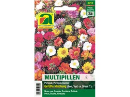 Portulak "Gefüllte Mischung":   Multipill - für leichte Aussaat und buschige Pflanzen. Eine Pille vereint me
