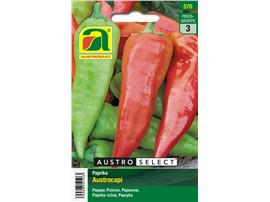 Paprika "Austrocapi":   Die spitzen Früchte reifen von hellgrün auf rot ab (Roternte empfohlen) und 