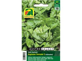 Kopfsalat "Kagraner Sommer 2":   Sehr schossfester Salat, speziell für heiße Anbaulagen im Hochsommer.