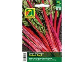 Mangold "Rhubarb Chard":   Ein roter Stielmangold mit rötlich-grünen Blättern. Bei später Aussaat kann 