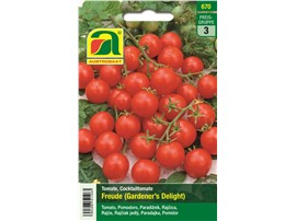 Tomate "Freude (Gardener´s Delight)":   Die Trauben sind mit süß schmeckenden, kirschgroßen Früchten reich besetzt.
