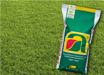 Gärten & Spielflächen Profi XL: Standard-Rasen für Gärten & Spielflächen Profi   Besonders ausgewählte Sorten 